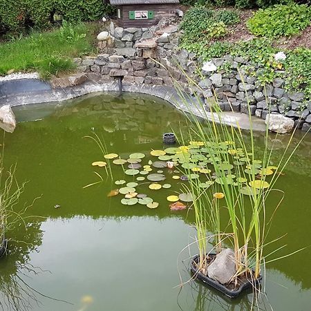 Waldhufenidyll Koenigswalde Im Erzgebirge Lägenhet Konigswalde Exteriör bild