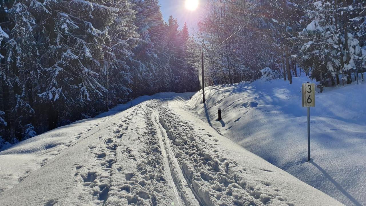 Waldhufenidyll Koenigswalde Im Erzgebirge Lägenhet Konigswalde Exteriör bild